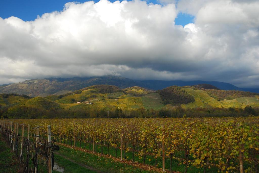 Locanda La Candola Soligo エクステリア 写真